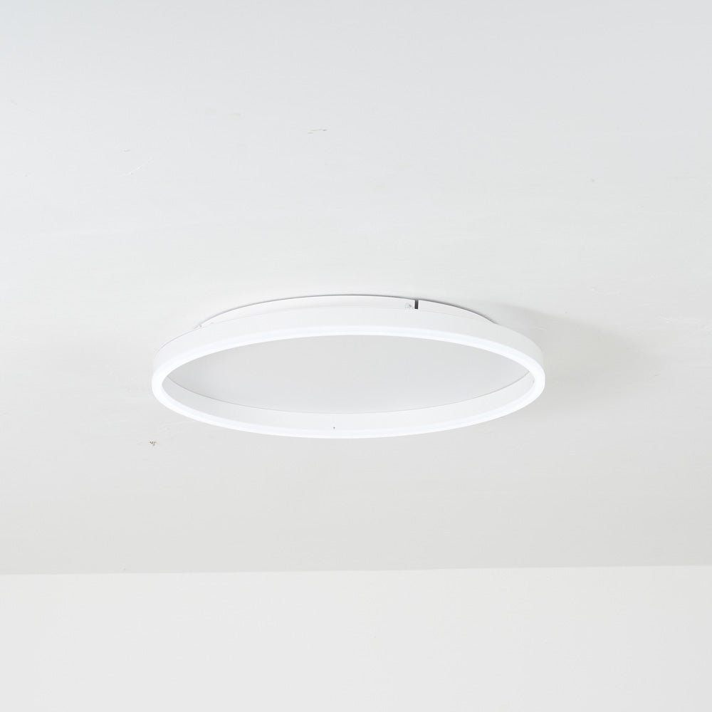 Olen Flush Mount Ceiling Light | ventumra