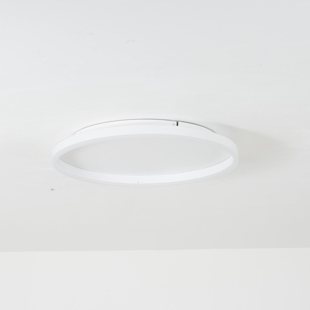 Olen Flush Mount Ceiling Light | ventumra