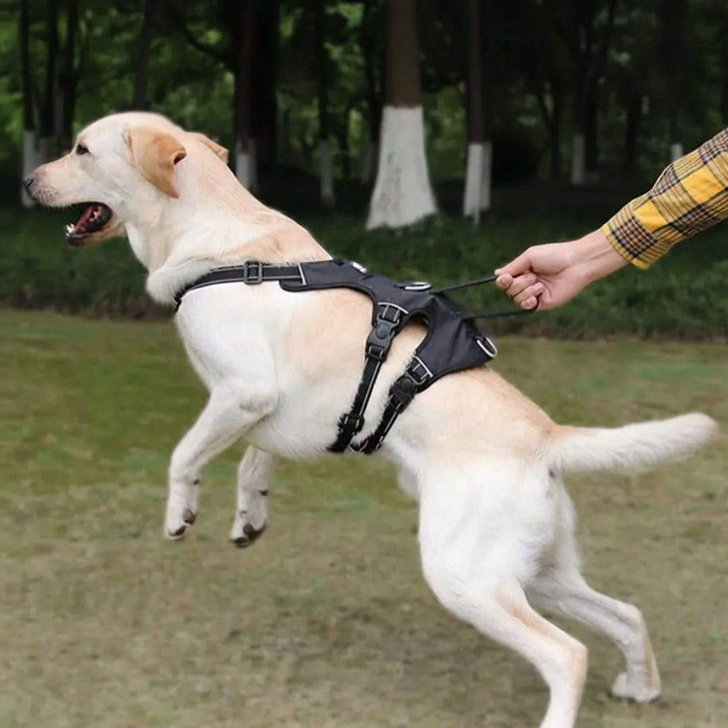SwiftGuard Nylon Dog Harness — Reflective Trim, Front Clip, Escape-Proof Design