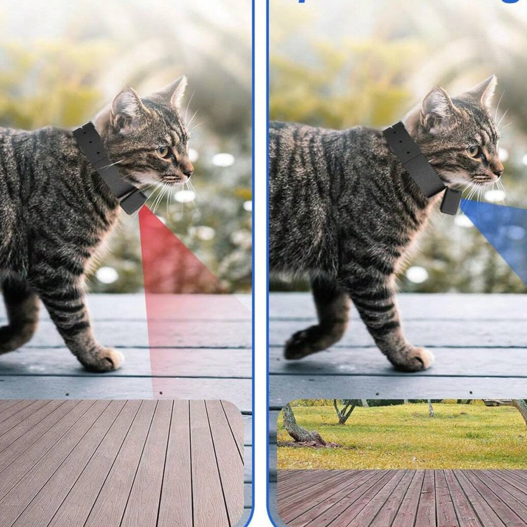Nositelné zvířecí kamery FidoVision se záběrem 160° - 1080P HD, 32GB