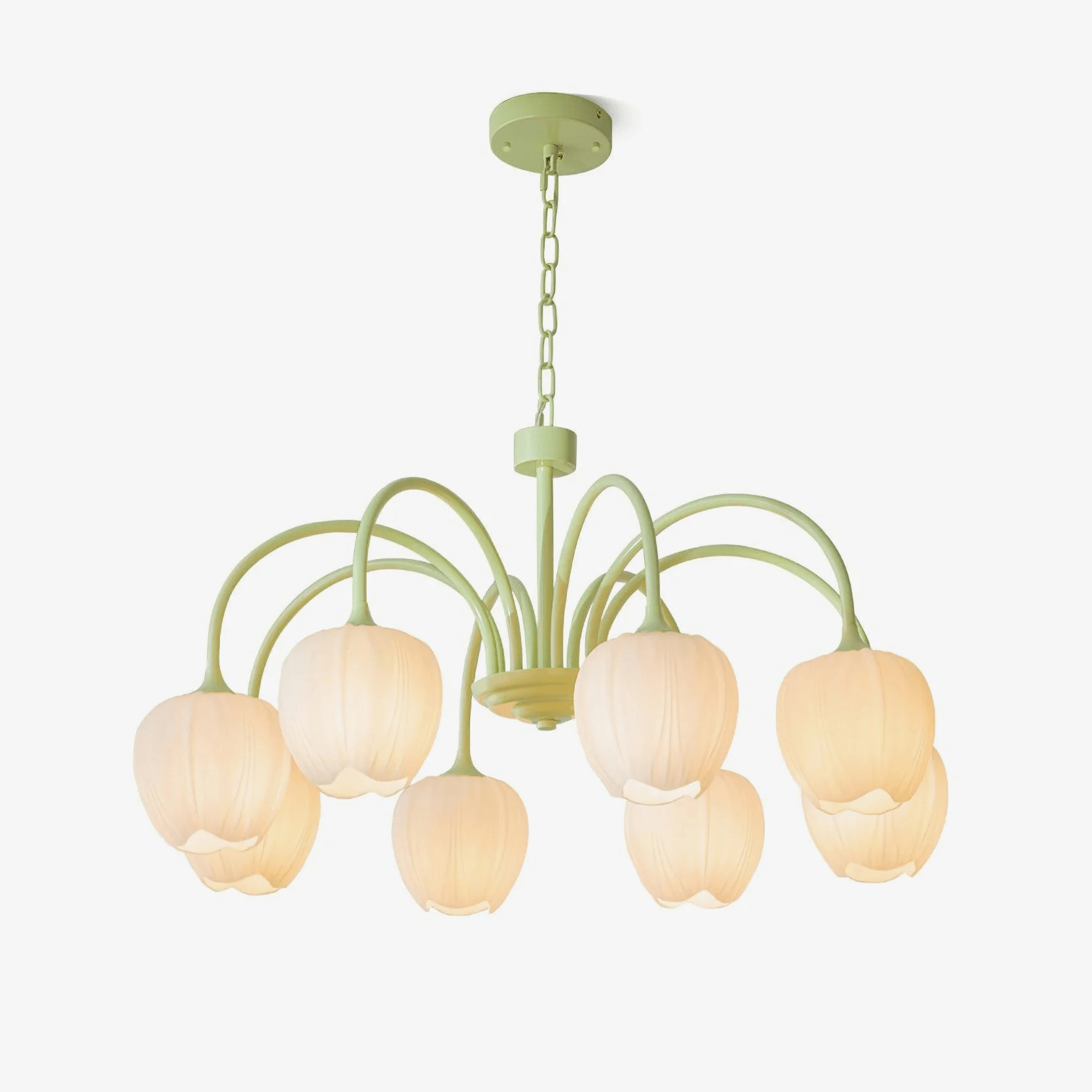 Tulip Fresh Chandeliers Glass | ventumra