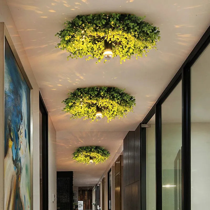 Arko Plant Ceiling Light | ventumra