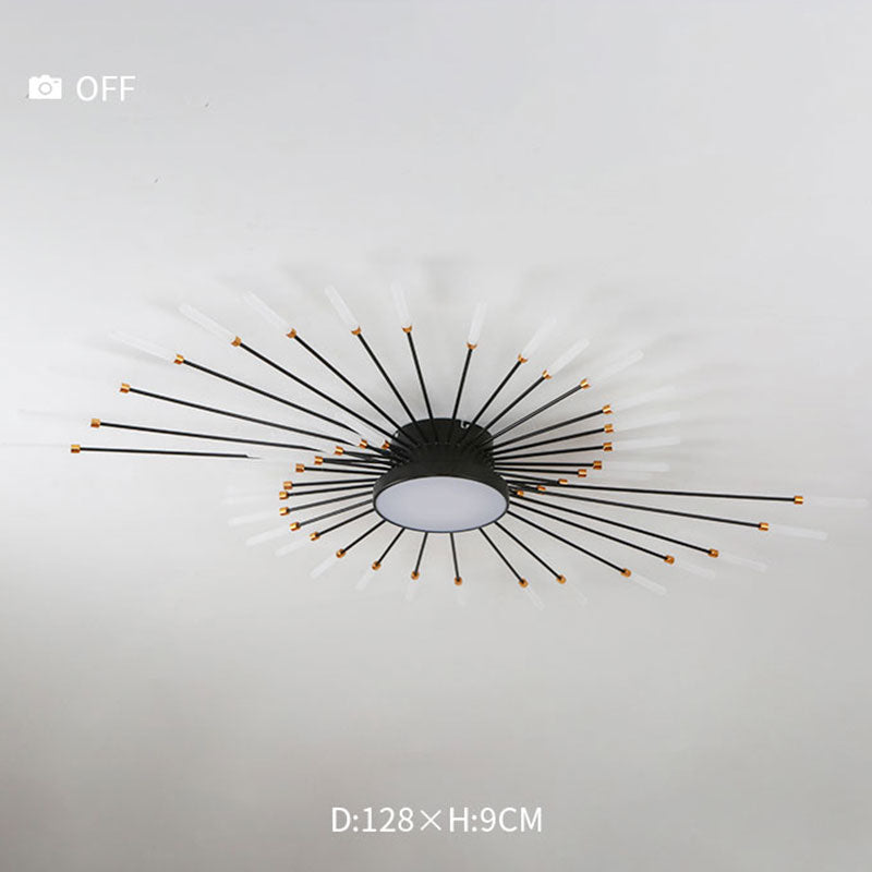 Wesley Modern Home Decoration Fireworks LED Ceiling Light | ventumra