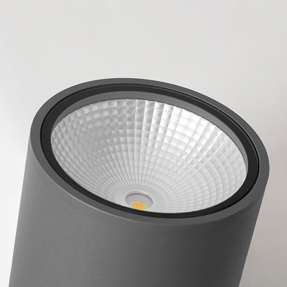 Ray Modern Black Cylindrical Flush Mount Ceiling Light Spotlight | ventumra