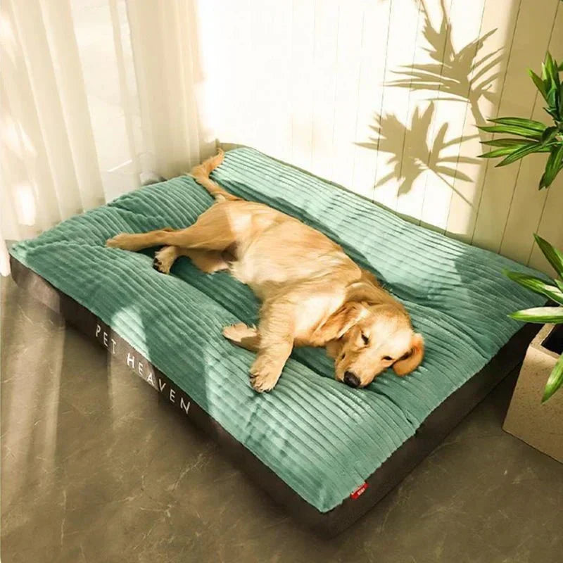 Ortopedický pelíšek pro psy CozyPaws — husté polstrování, ergonomický podpůrný design