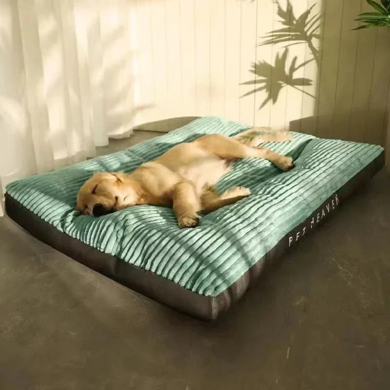 Ortopedický pelíšek pro psy CozyPaws — husté polstrování, ergonomický podpůrný design