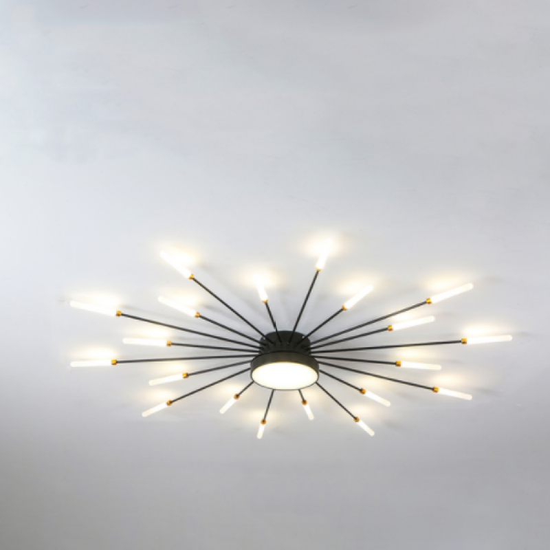 Wesley Modern Home Decoration Fireworks LED Ceiling Light - Neutralighting