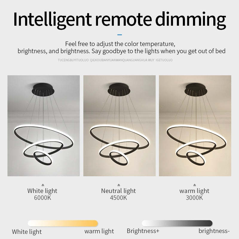Zin Modern Ring Pendant Light, 2/3/4 Rings | ventumra
