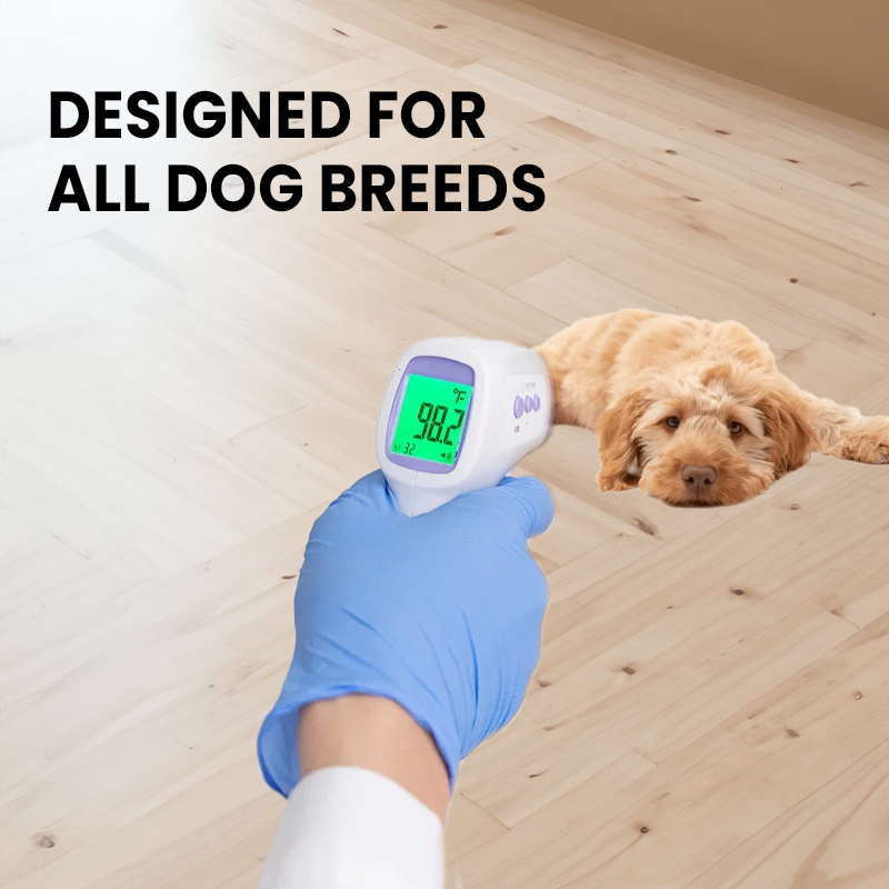 Contactless Infrared Dog Thermometer — One-Click Fast Reading