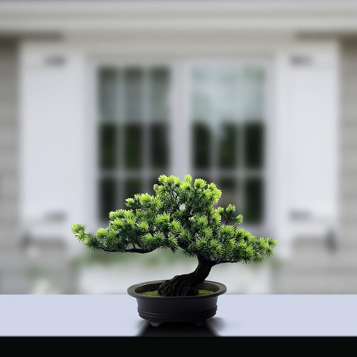 Lifelong Bonsai Plant — Permanent Green Decorative Home Accent