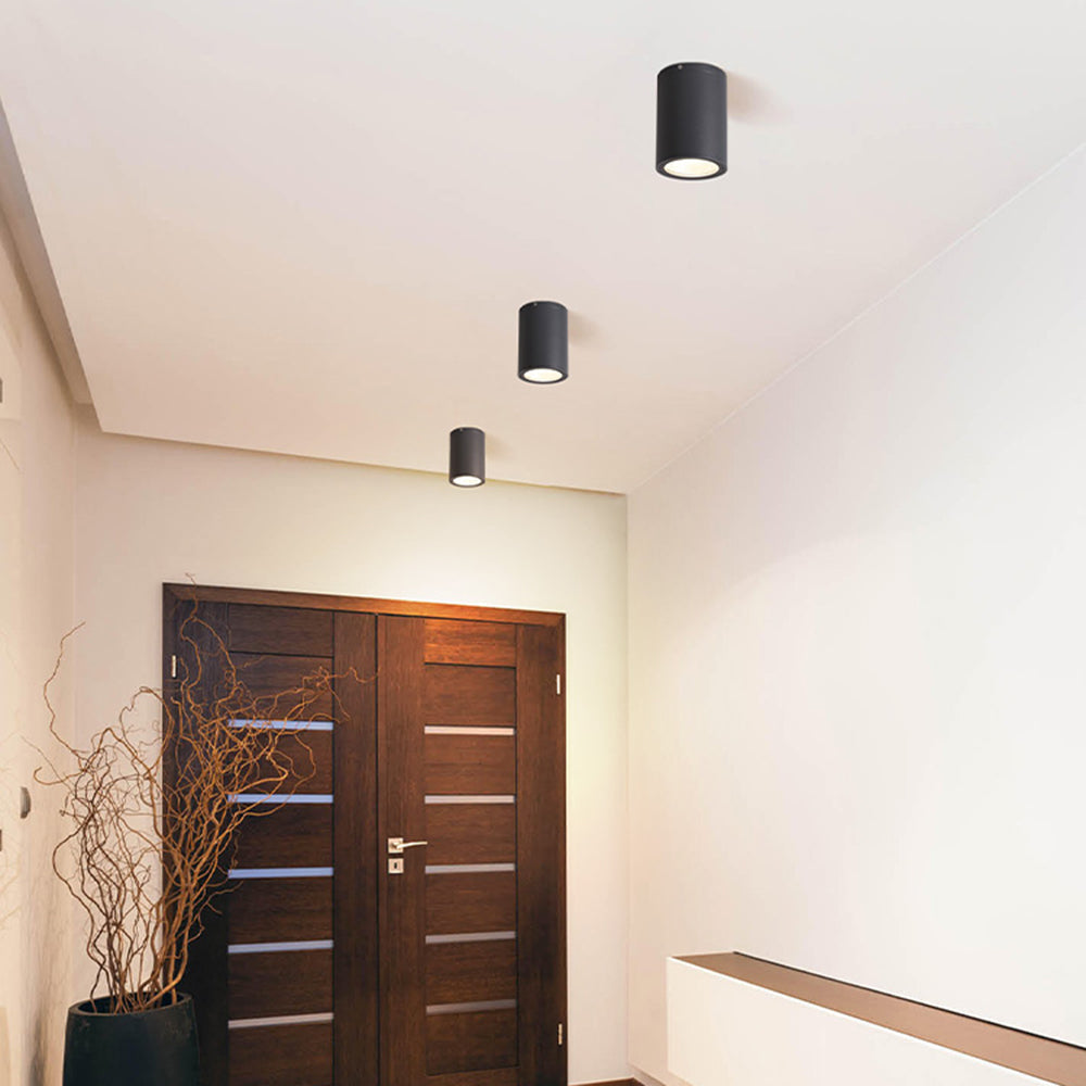 Ray Modern Black Cylindrical Flush Mount Ceiling Light Spotlight | ventumra