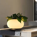 LumaLeaf Oval Glass Table Lamp Industrial LED Plant Decor