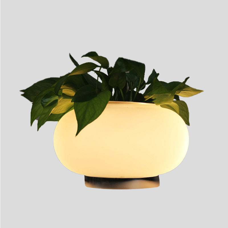 LumaLeaf Oval Glass Table Lamp Industrial LED Plant Decor