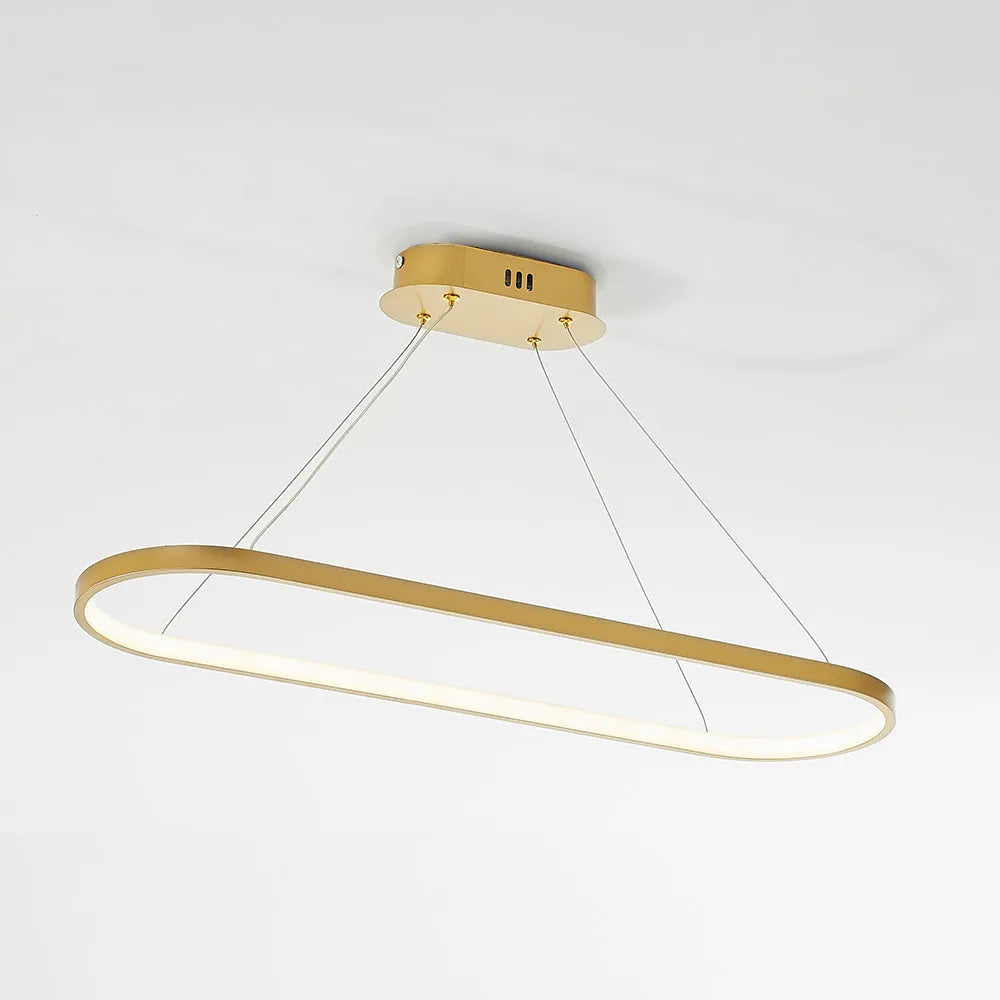 Junel Minimalist Oval Interior Hanging Pendant Light | ventumra