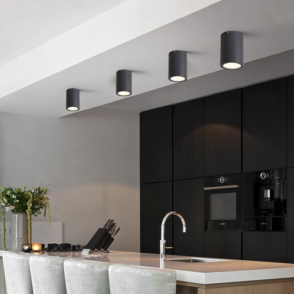 Ray Modern Black Cylindrical Flush Mount Ceiling Light Spotlight | ventumra