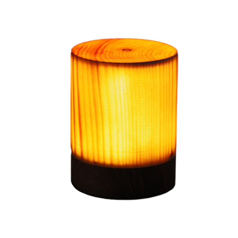 LumiHaven Battery Powered Touch Control LED Night Lamp