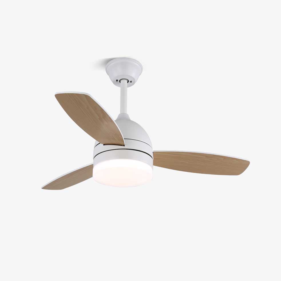 Split Cylinder Fan Light | Ventumra