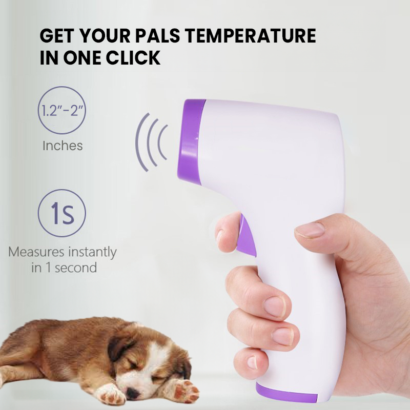 Contactless Infrared Dog Thermometer — One-Click Fast Reading