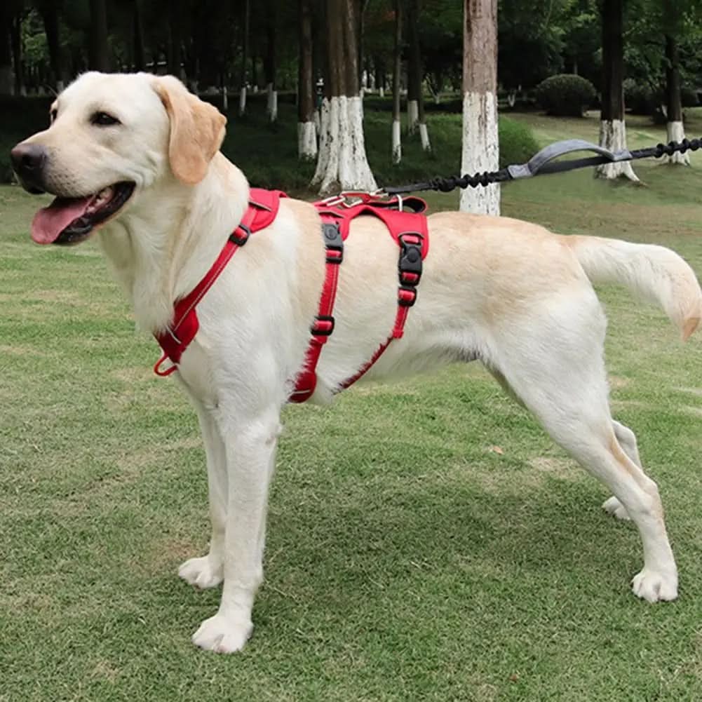 SwiftGuard Nylon Dog Harness — Reflective Trim, Front Clip, Escape-Proof Design