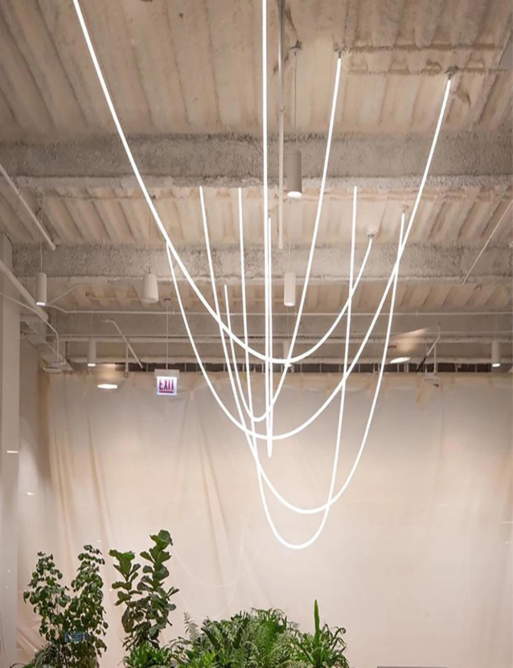 AstraLoop Pendant Light With Flexible LED Loop Tubes