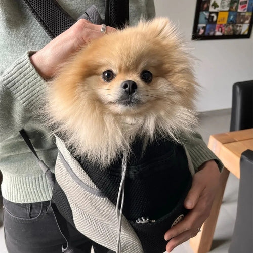Adventure Pet Carrier Backpack For Hiking And Travel | Ventumra