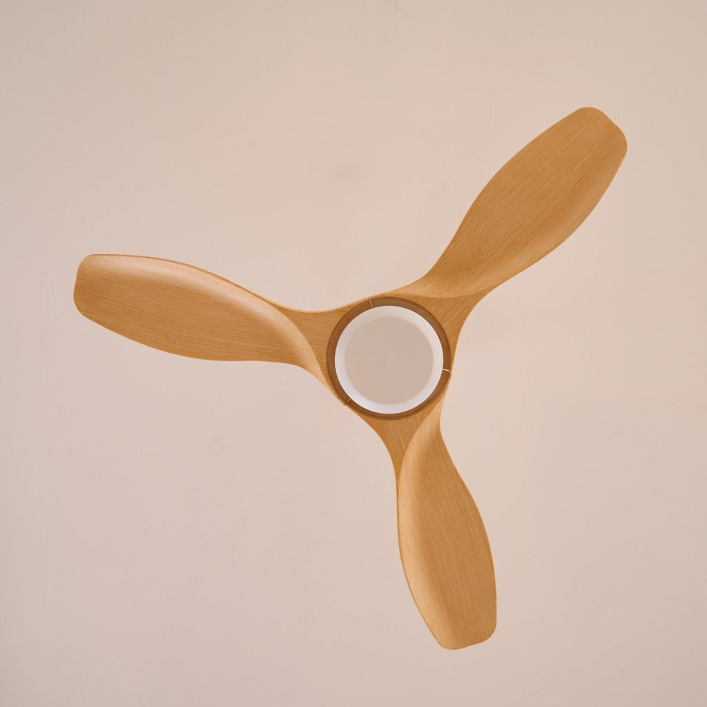 Aero Curve Wood Ceiling Fan | Ventumra