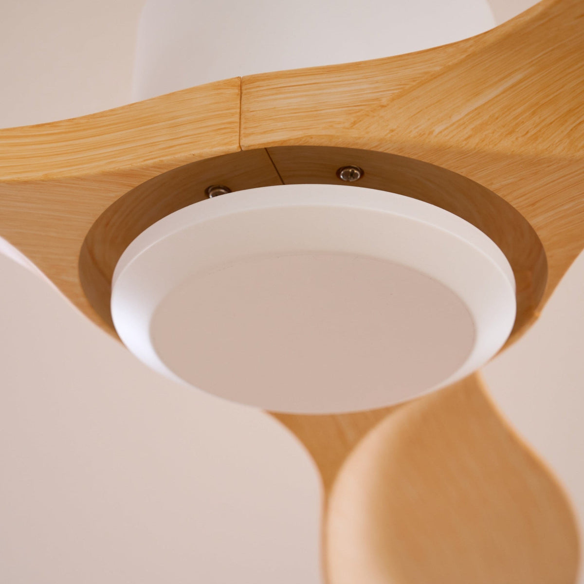 Aero Curve Wood Ceiling Fan | Ventumra