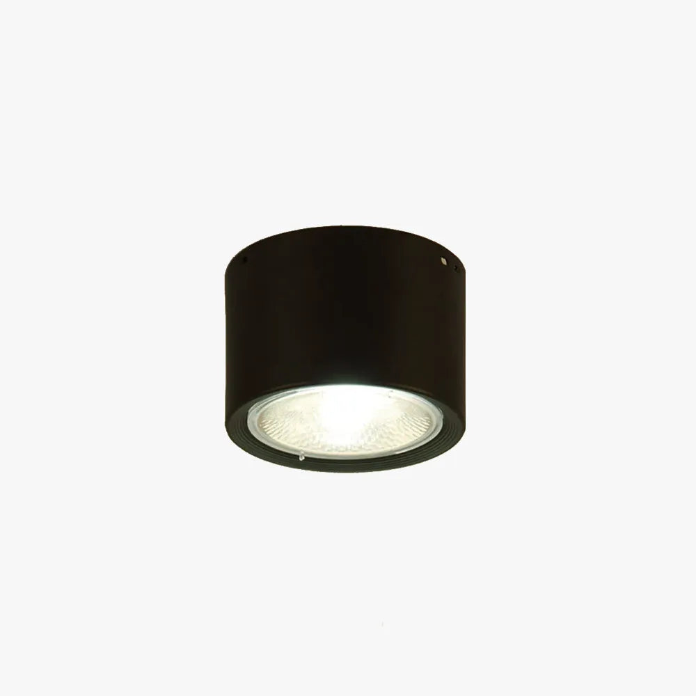 Arisha Modern Round Flush Mount Ceiling Light, Wood/Black, Living Room | ventumra