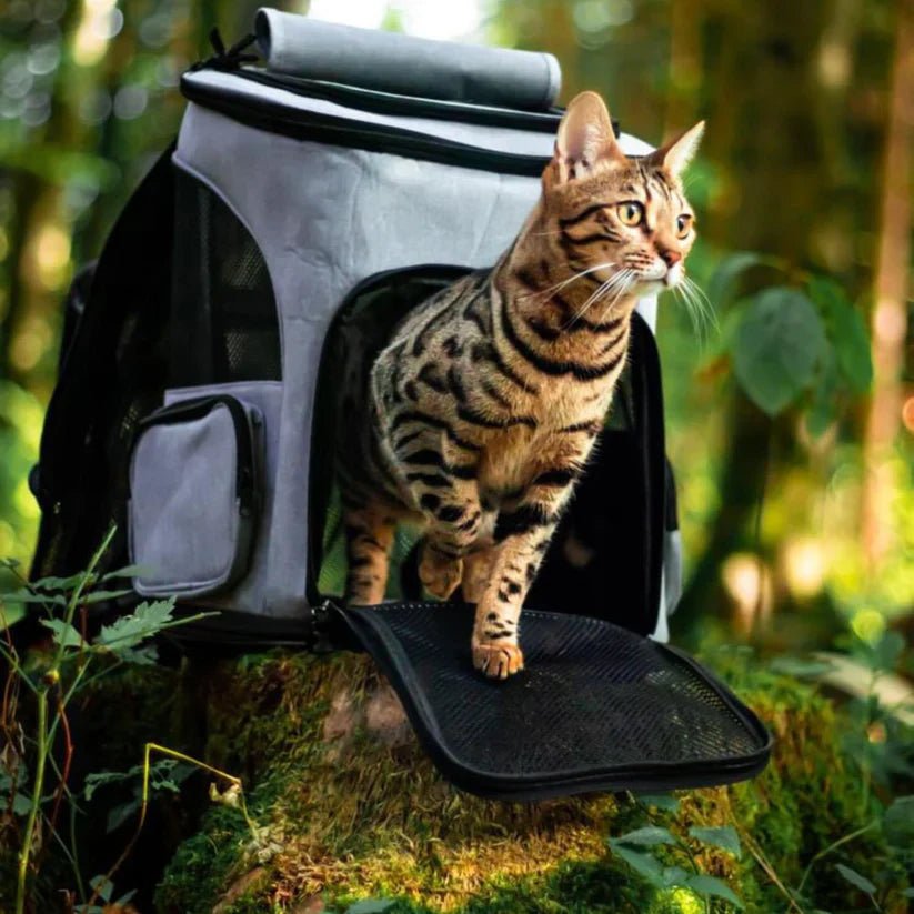 PawVista Cat Backpack — Comfortable Travel Design, Clear Viewing Window