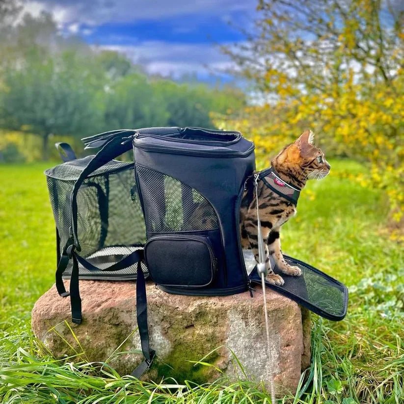 PawVista Cat Backpack — Comfortable Travel Design, Clear Viewing Window