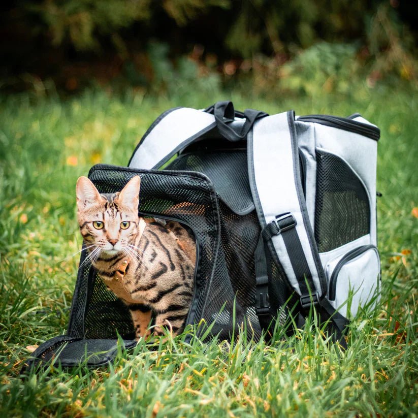 PawVista Cat Backpack — Comfortable Travel Design, Clear Viewing Window