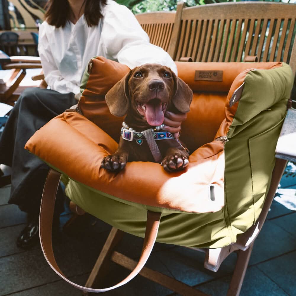 Cadeira elevatória para carro Aurora para cães — design fechado, clipe de fixação integrado para o cinto de segurança