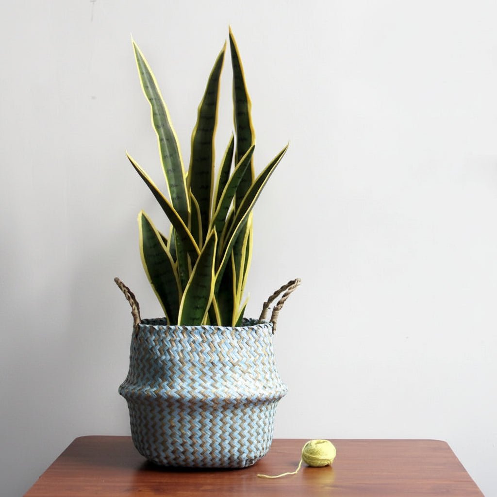 AuroraWeave Handmade Foldable Willow Plant Basket — Boho Style