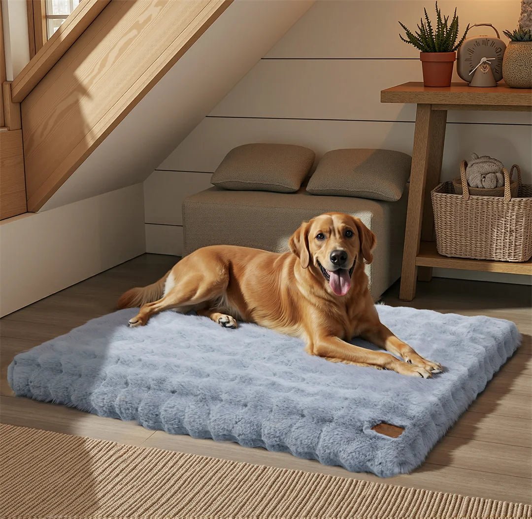 Cama de felpa gruesa de lujo CozyPaw — Acolchado reforzado, funda repelente al agua