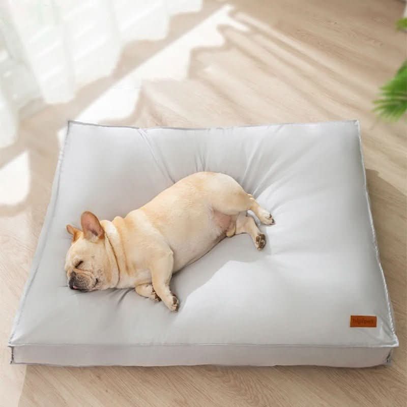 CozyPaw מיטה אורתופדית לכלב, עמידה למים ולשריטות, רחיצה, עם קצף זיכרון