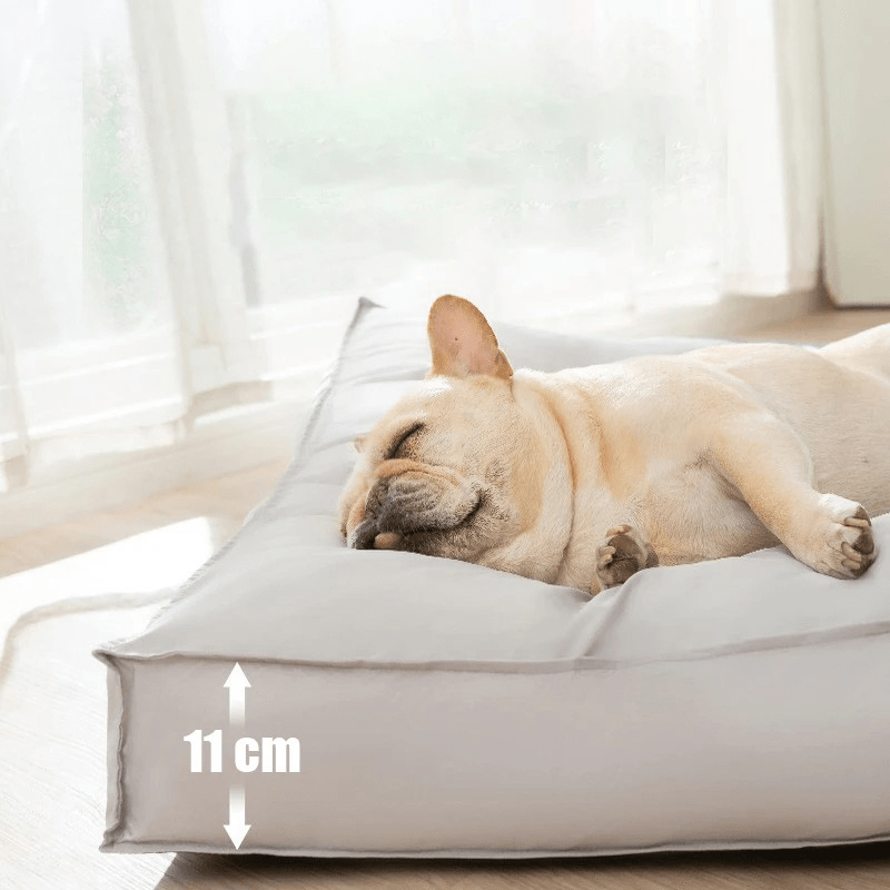 CozyPaw מיטה אורתופדית לכלב, עמידה למים ולשריטות, רחיצה, עם קצף זיכרון