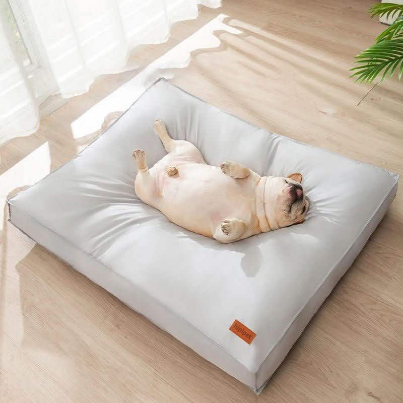CozyPaw מיטה אורתופדית לכלב, עמידה למים ולשריטות, רחיצה, עם קצף זיכרון