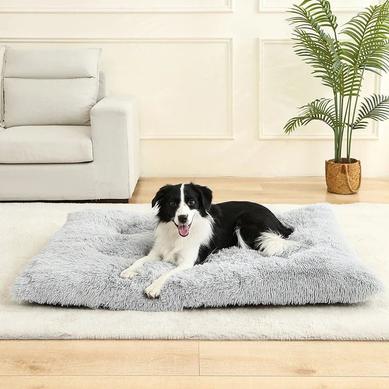 NapNest Rectangular Dog Bed — Extra Soft Plush Surface, Structured Rim