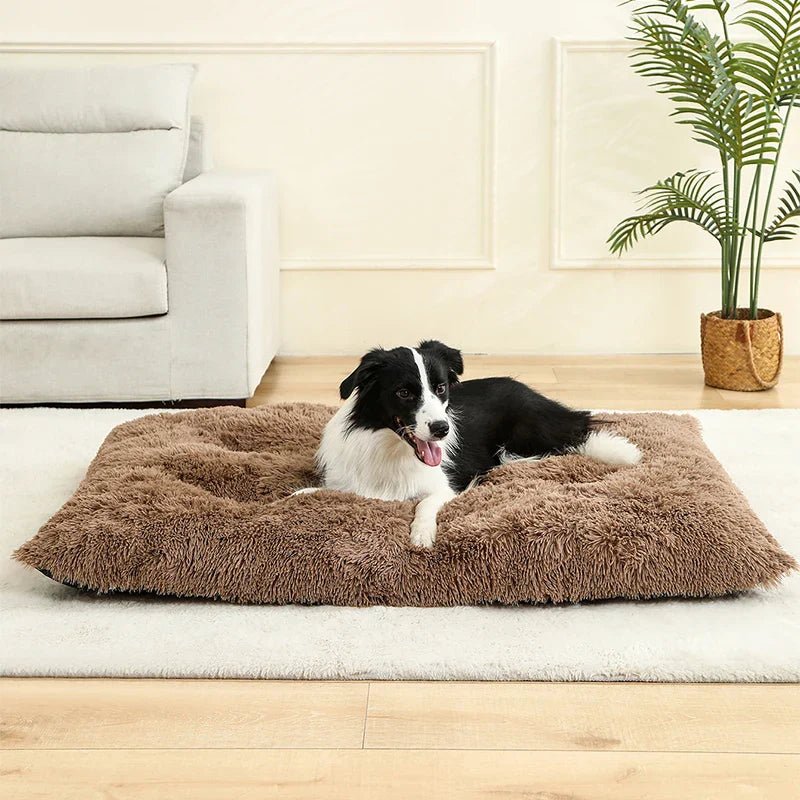 NapNest Rectangular Dog Bed — Extra Soft Plush Surface, Structured Rim
