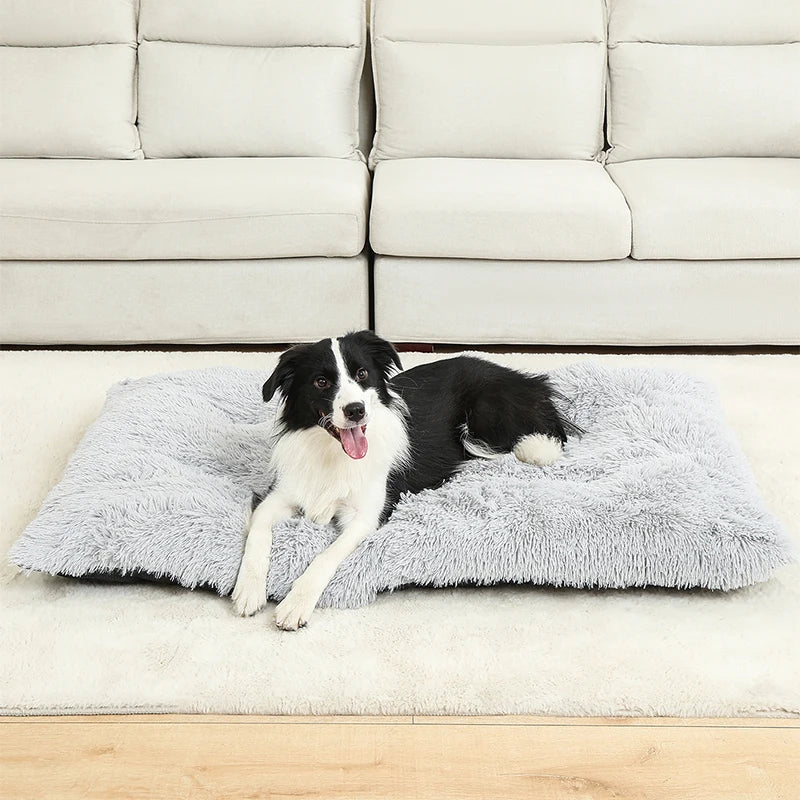 NapNest Rectangular Dog Bed — Extra Soft Plush Surface, Structured Rim