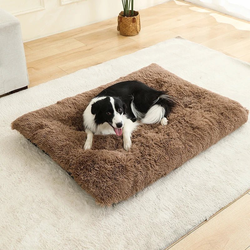 NapNest Rectangular Dog Bed — Extra Soft Plush Surface, Structured Rim