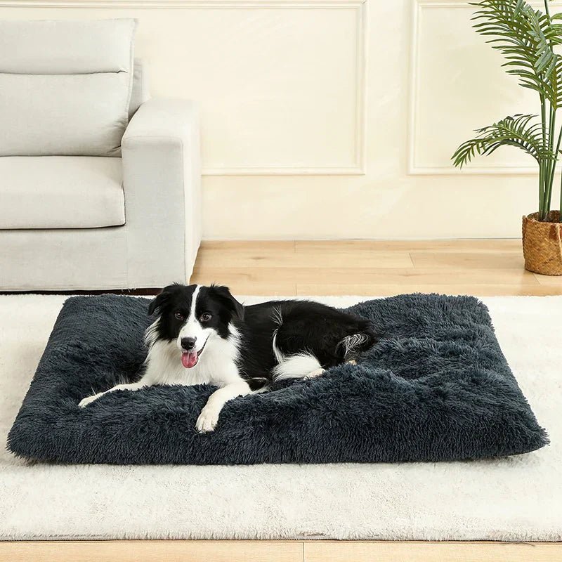 NapNest Rectangular Dog Bed — Extra Soft Plush Surface, Structured Rim