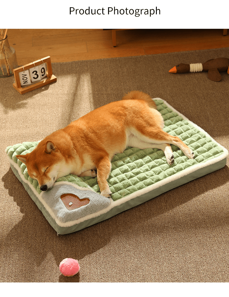 CozyCloud ソフトドッグベッド — 層状クッションデザインとしっかりした内装