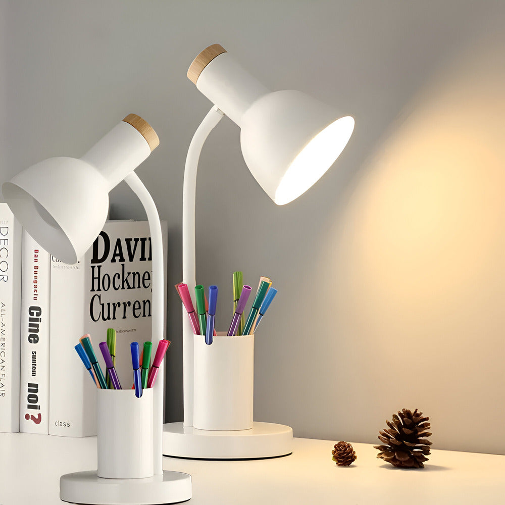 Norelle Modern LED Desk Lamp With Integrated Pen Holder