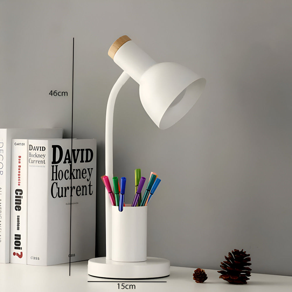 Norelle Modern LED Desk Lamp With Integrated Pen Holder