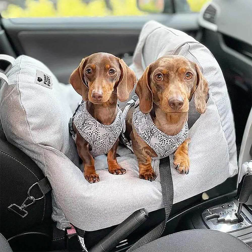 CozyTrail Hundeautositzbett – Sicherheitsgurt, rutschfeste Unterseite, Design mit Erhöhungskissen