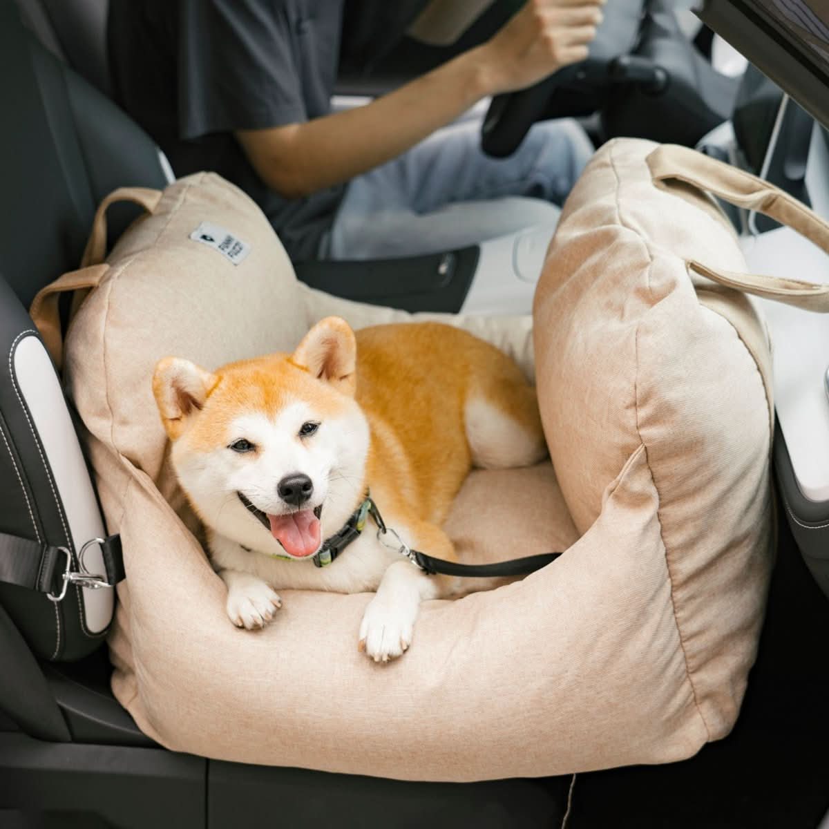 CozyTrail Hundeautositzbett – Sicherheitsgurt, rutschfeste Unterseite, Design mit Erhöhungskissen