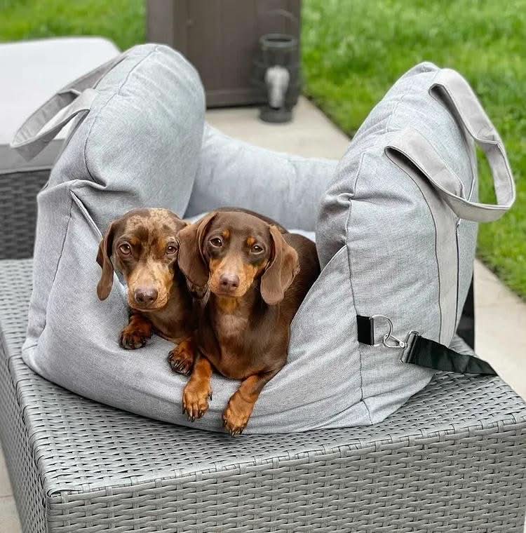 CozyTrail Hundeautositzbett – Sicherheitsgurt, rutschfeste Unterseite, Design mit Erhöhungskissen