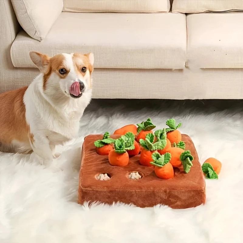 12 Carrot Plush Toys For Dogs Sniff And Seek Interactive Play Set | Ventumra