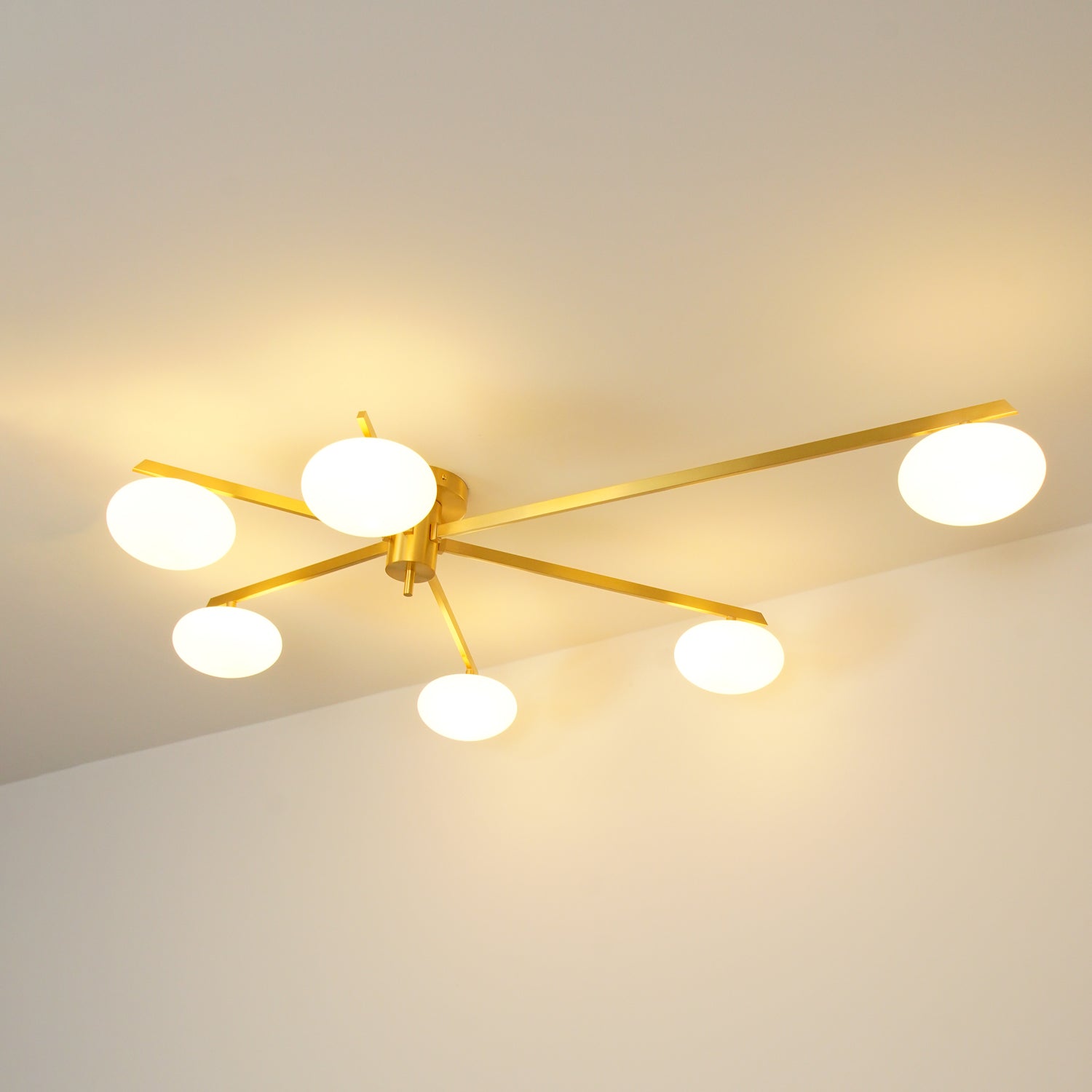 Jania Modern Glass Black Ceiling Light | ventumra